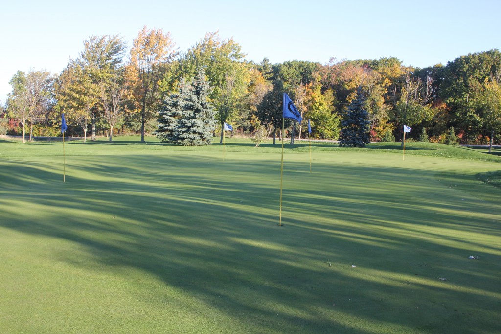 Short Game Practice in Niagara