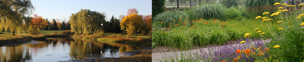 Water Hazard and Scenic Garden