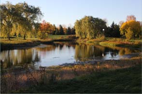 Water Trap at Sawmill