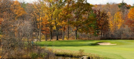 Hole #11